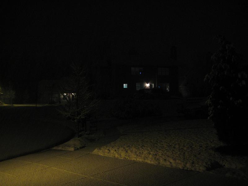 346.JPG