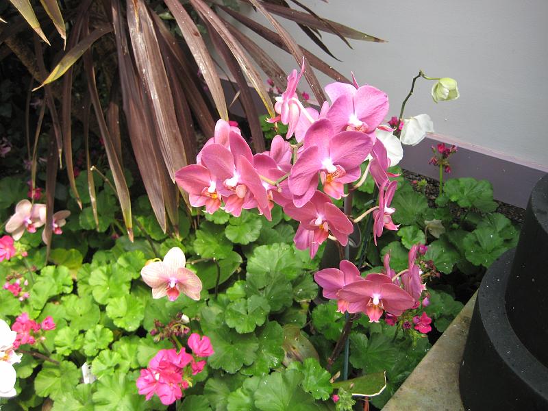 IMG_1762.JPG