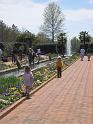 IMG_1800