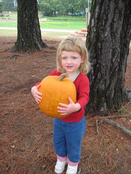 IMG_0832.JPG - I got my own pumpkin!