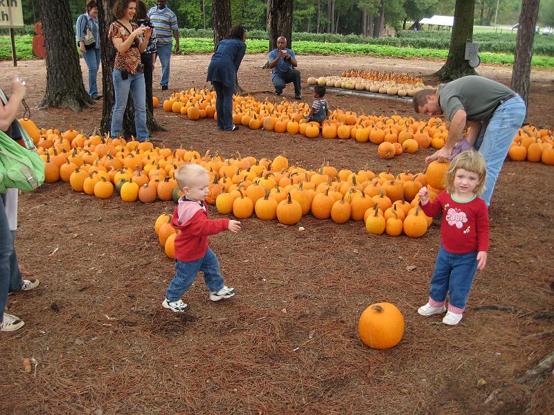 IMG_0833.JPG - everybody picking out pumpkins