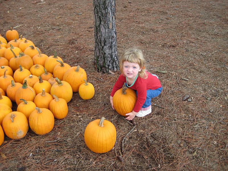 IMG_0834.JPG - I got my own pumpkin!