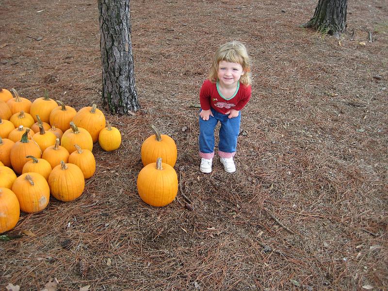 IMG_0838.JPG - I got my own pumpkin!