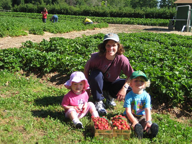 IMG_0331.JPG - picking strawberries in Iron Station, NC