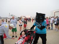 IMG 3460
