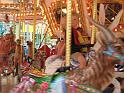 IMG_2495