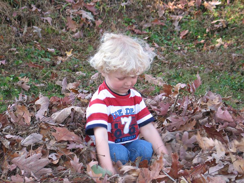 IMG_5961.JPG - Elijah in the leaves