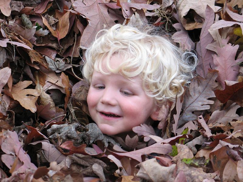 IMG_6000.JPG - head on a pile of leaves