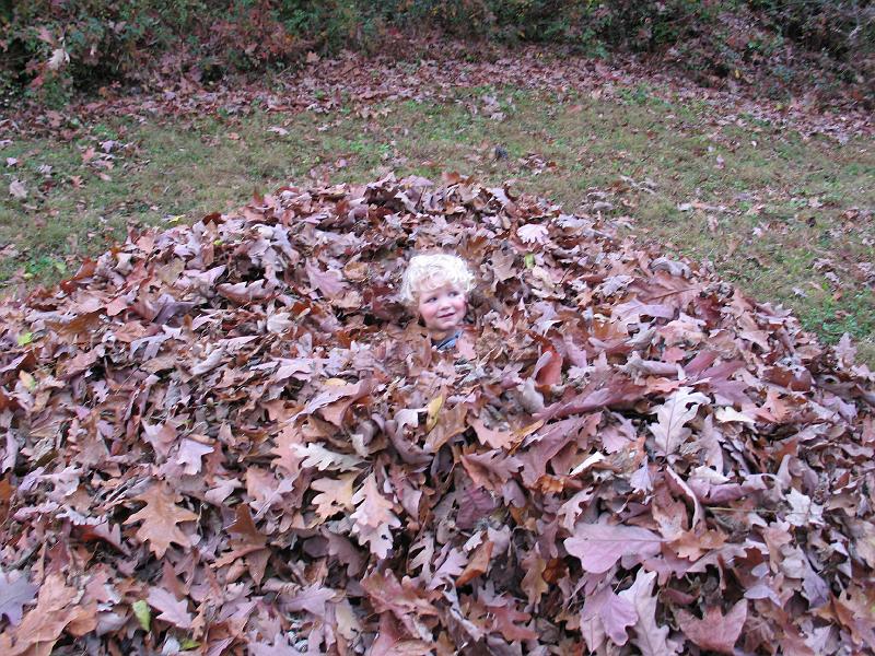 IMG_6003.JPG - Elijah just a head above the leaves